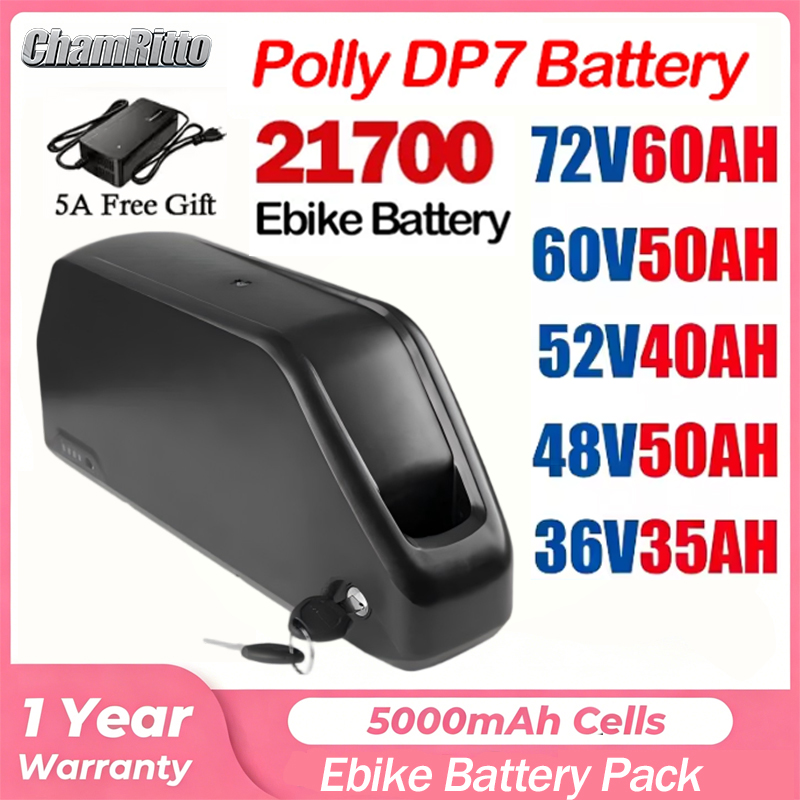 52v50ah Hailong Polly 48V 60V  - 72V 40Ah Lifepo4 Battery Pack 评论和价格