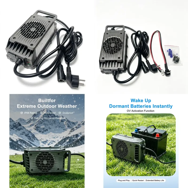 Electric Surfboard Charger Efo - 84V 20A Smart Charger 评论和价格